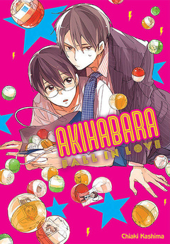 Akihabara Fall in Love