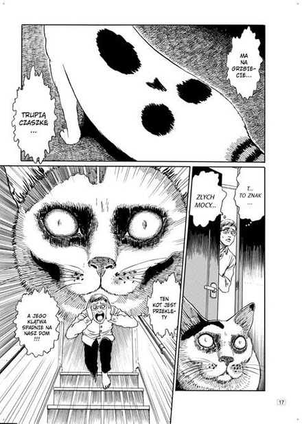 Czwórcio i Szóstek - koci pamiętnik Junjiego Ito