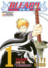 Bleach tom 01