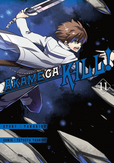 Akame ga kill! tom 11