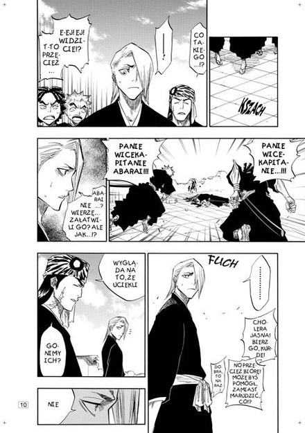 Bleach tom 12
