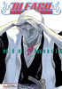 Bleach tom 20