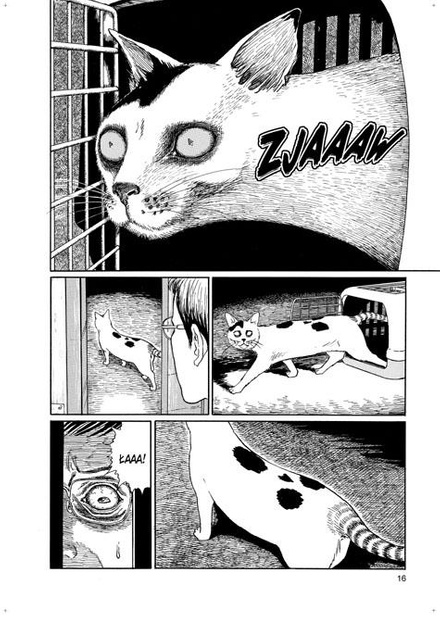 Czwórcio i Szóstek - koci pamiętnik Junjiego Ito