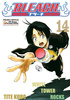 Bleach tom 14
