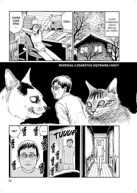 Czwórcio i Szóstek - koci pamiętnik Junjiego Ito