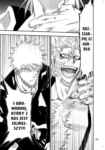 Bleach tom 32