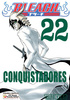 Bleach tom 22