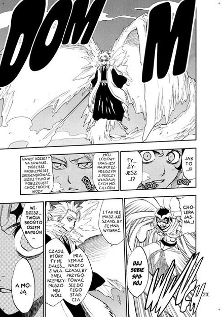 Bleach tom 27