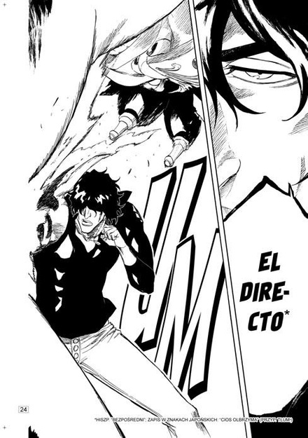 Bleach tom 28