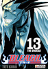 Bleach tom 13