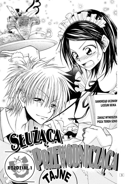Służąca Przewodnicząca tom 01