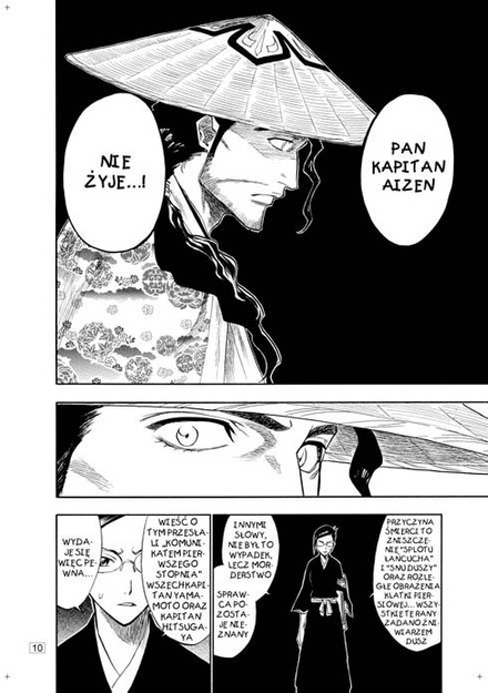 Bleach tom 13