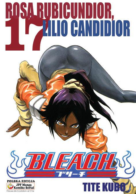 Bleach tom 17