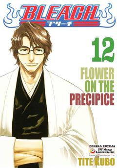 Bleach tom 12