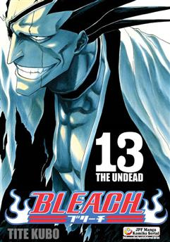 Bleach tom 13