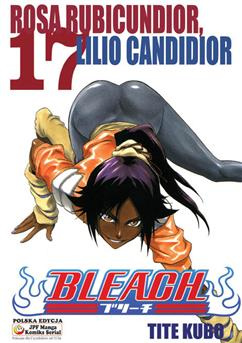 Bleach tom 17