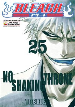 Bleach tom 25