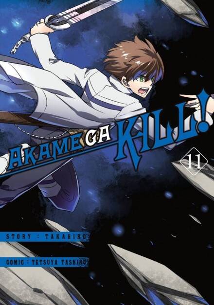 Akame ga kill! tom 11