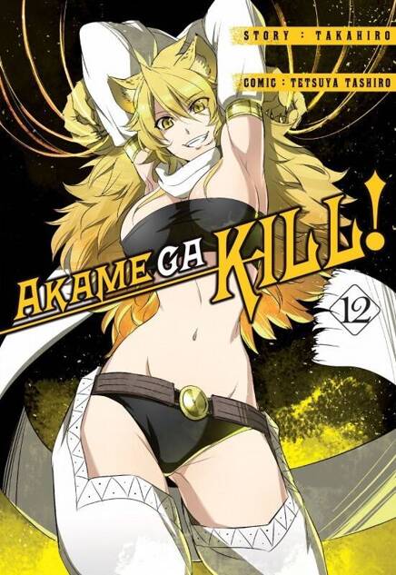 Akame ga kill! tom 12