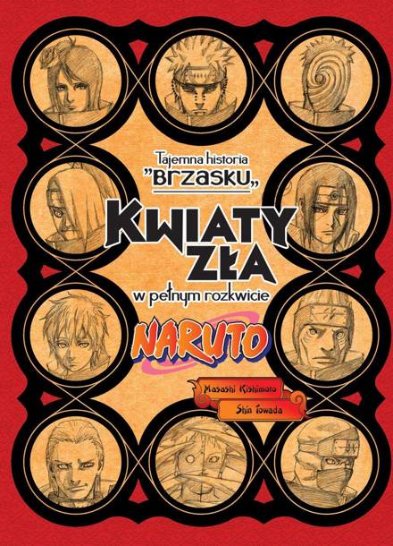 Naruto 06: Tajemna historia Brzasku